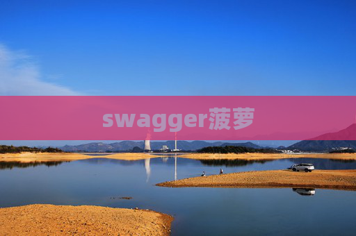 swagger菠萝